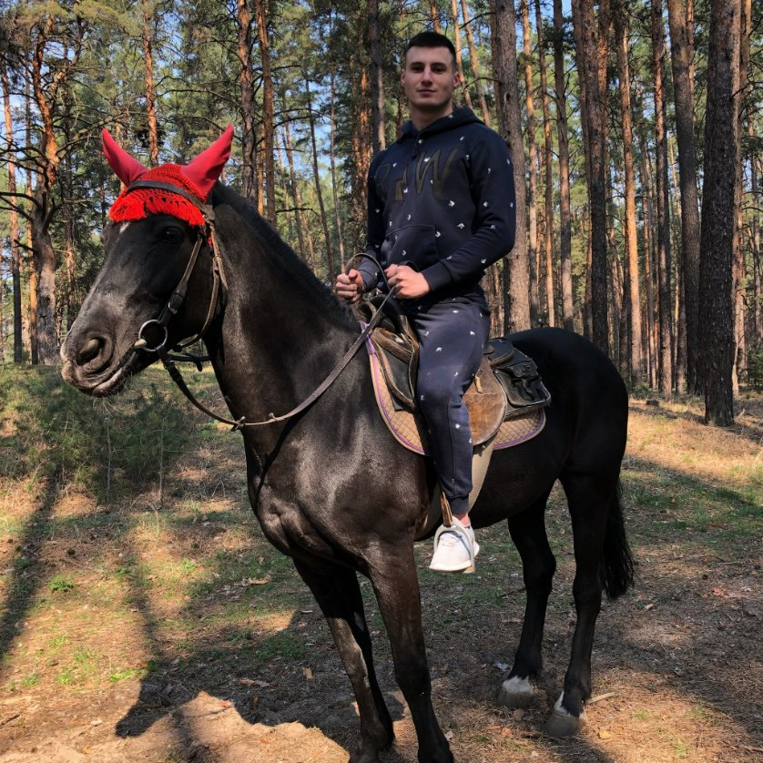 your Max tweet media