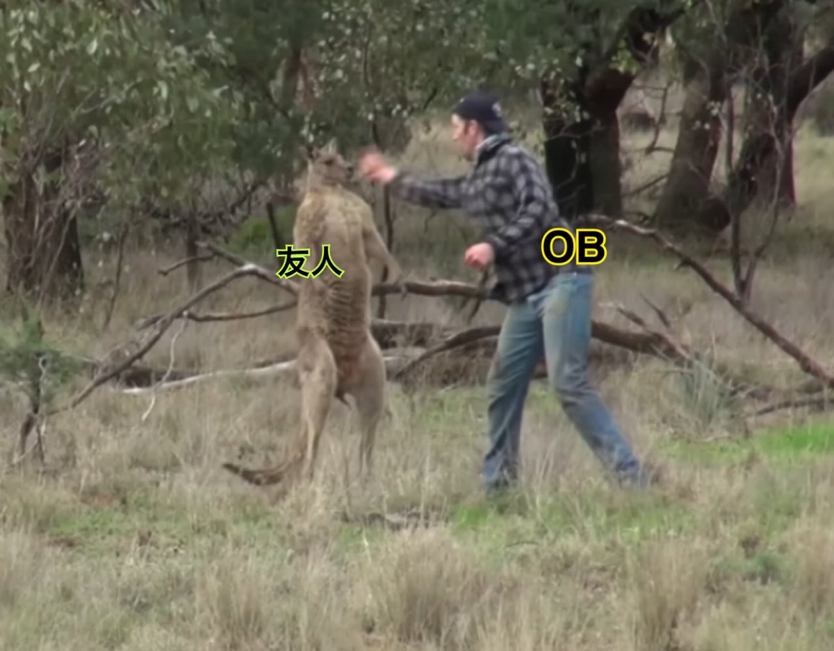 仏壇🍺🎮🍶📚 tweet media