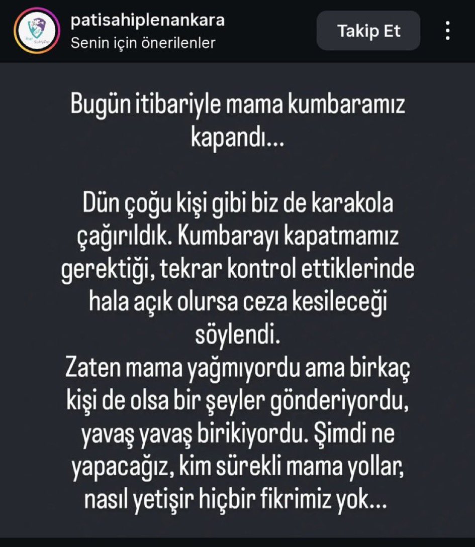 Başıboş Köpek Tehlikesi tweet media