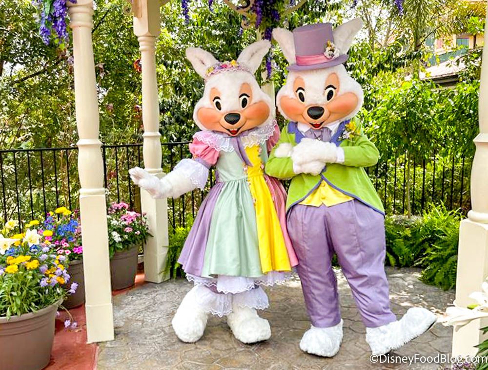 Disney Food Blog tweet media