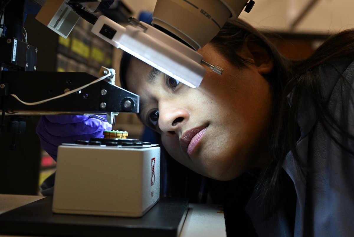 Brookhaven Lab tweet media