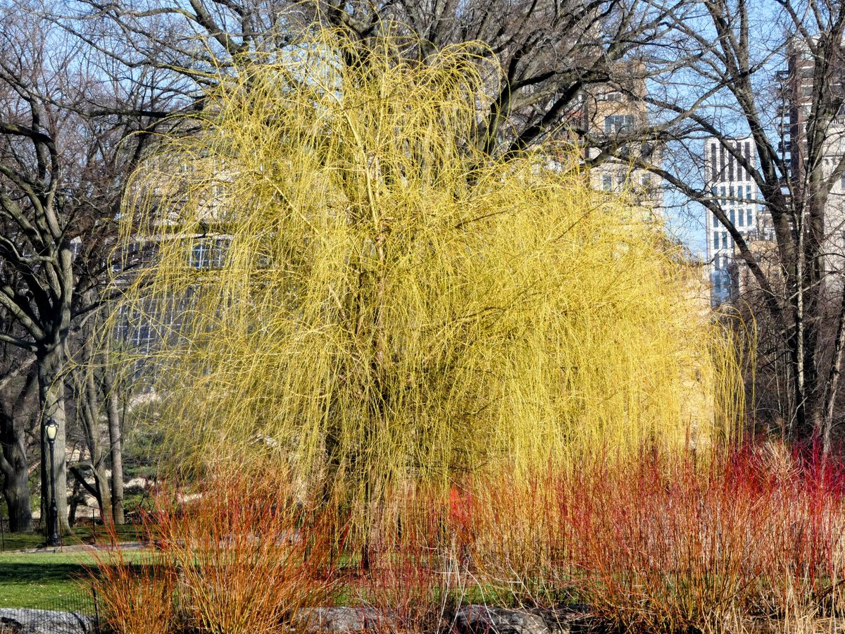 Ileen aka sixth year bird watcher tweet media