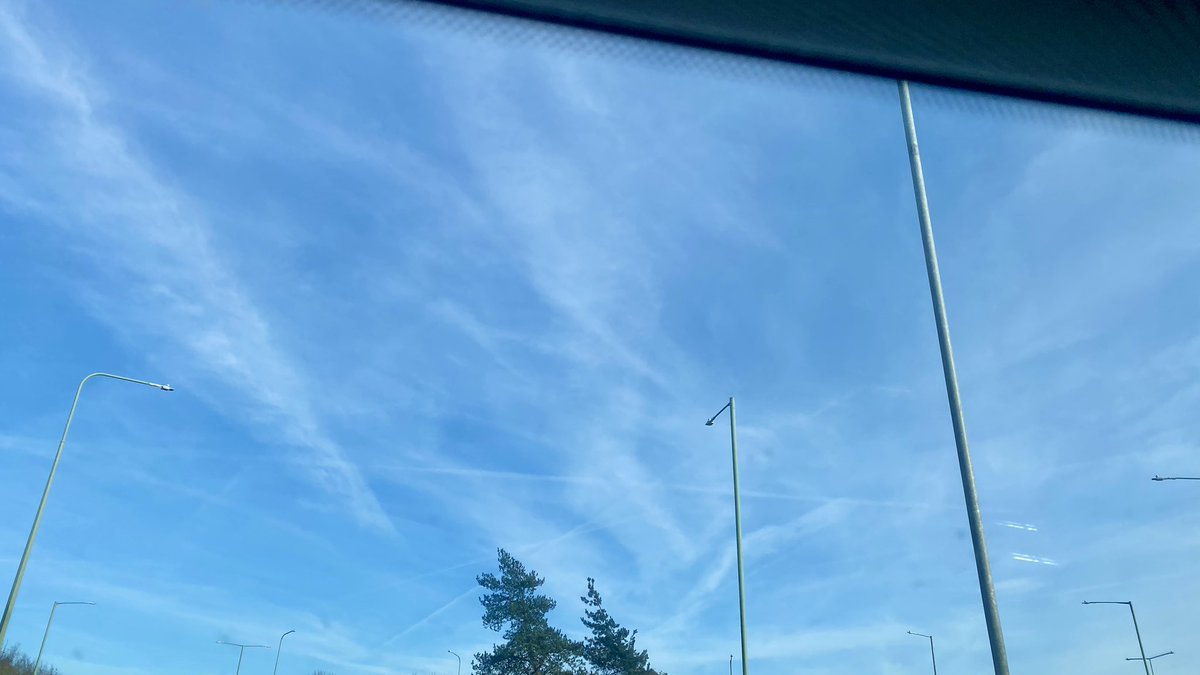 Truth Pixie tweet media