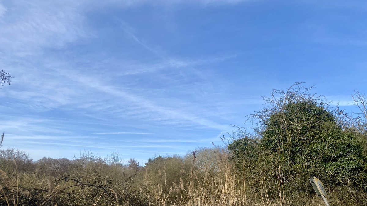 Truth Pixie tweet media