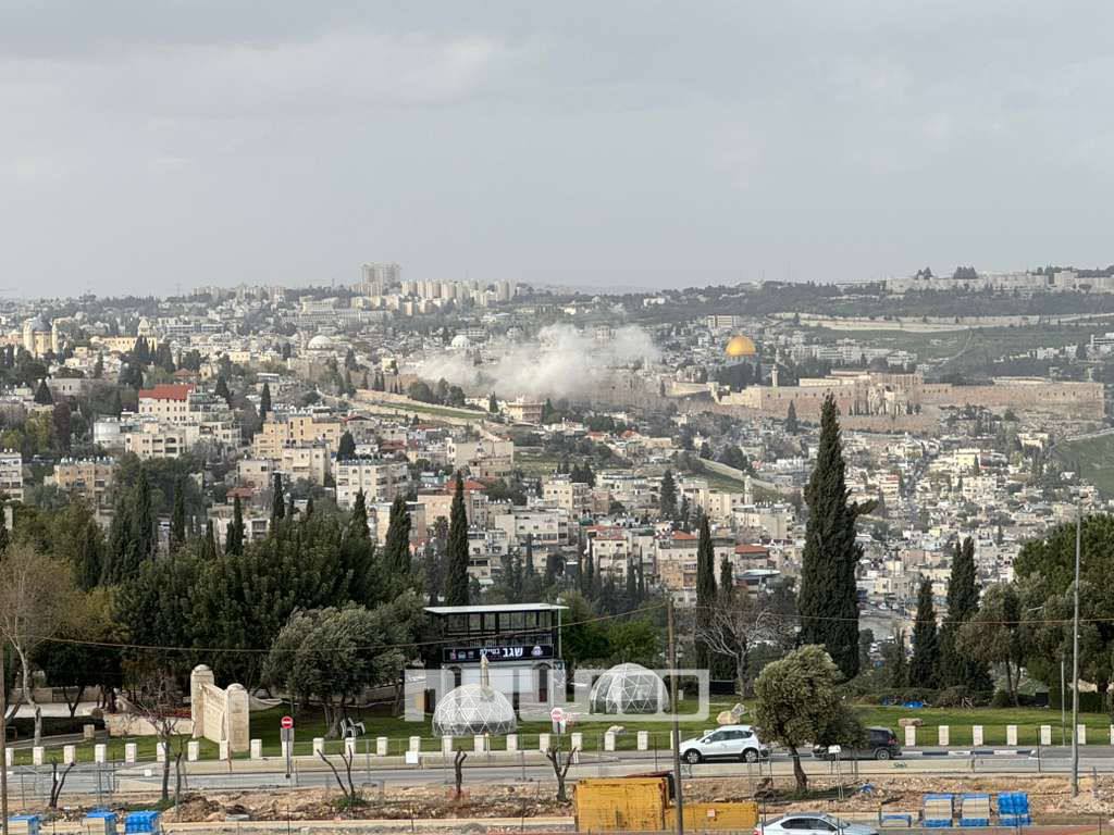 משה موشي جرادي Moshi tweet media