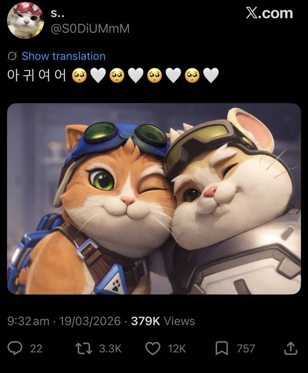 JetpackCatMain tweet media