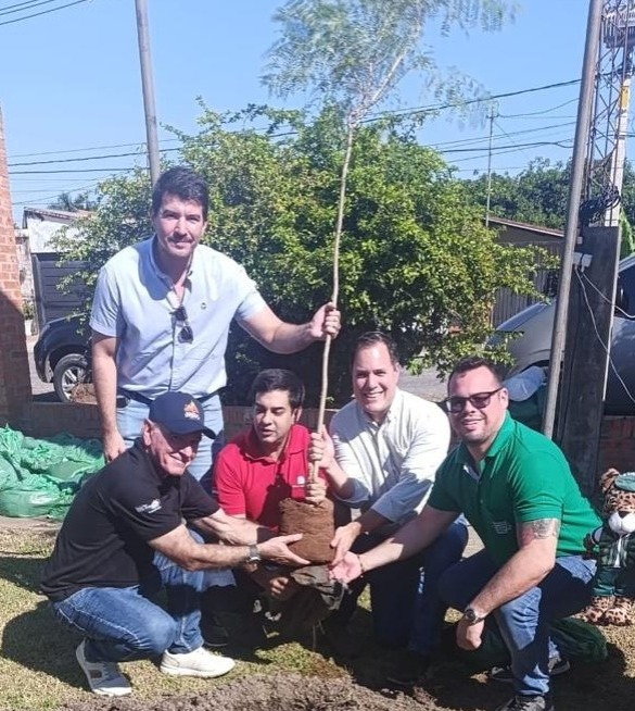 SenadoPy tweet media