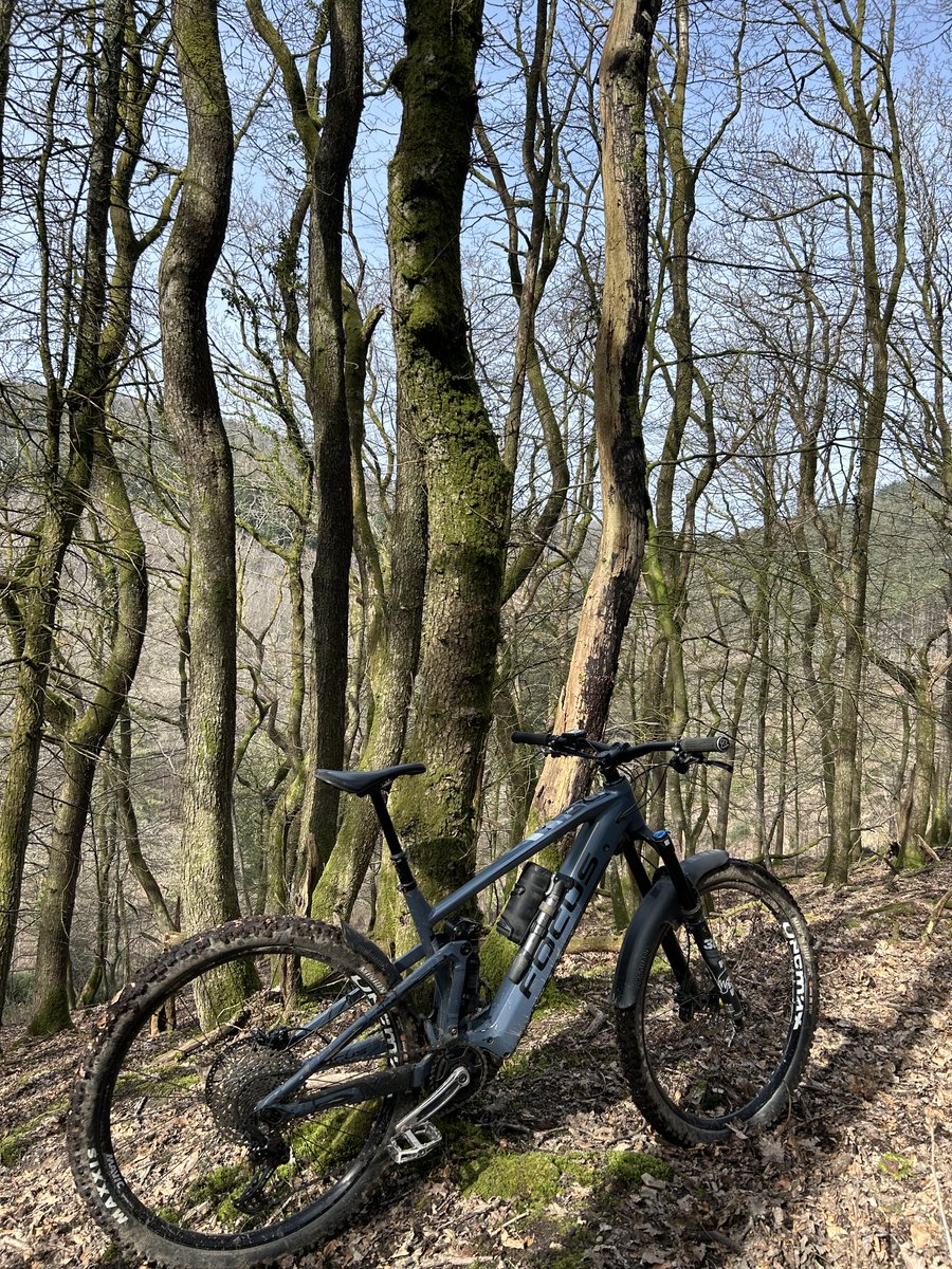 Mark Alan Phillips tweet media