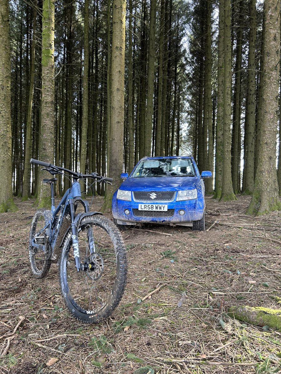 Mark Alan Phillips tweet media