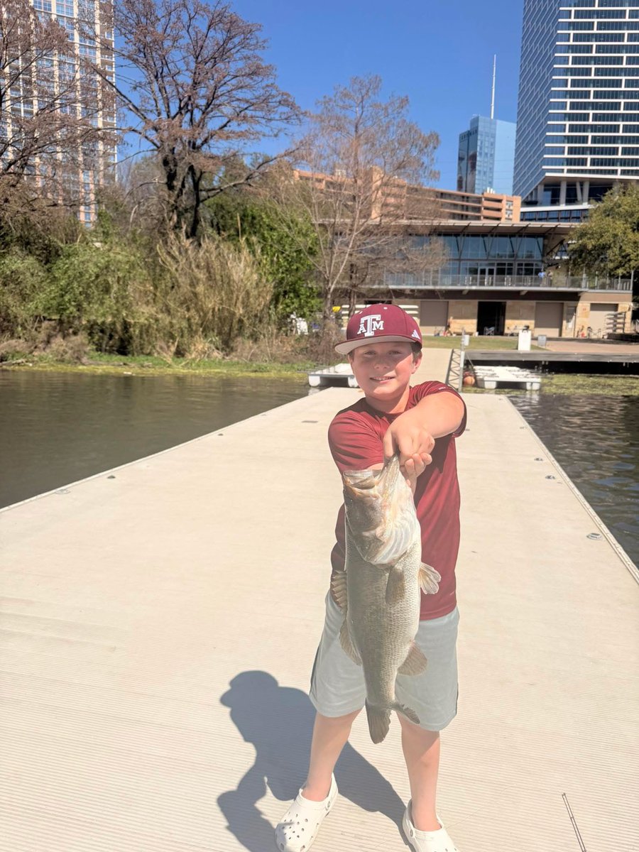 Bass Manager 🎣 tweet media