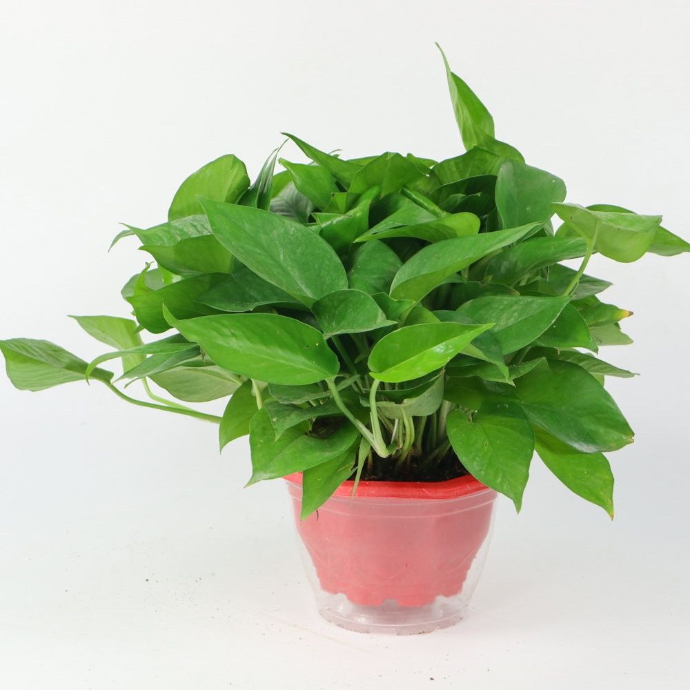 lucky9023550400 tweet media