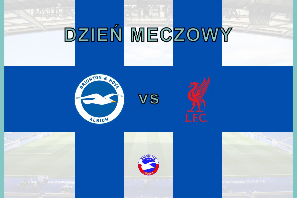 Brighton Polska tweet media