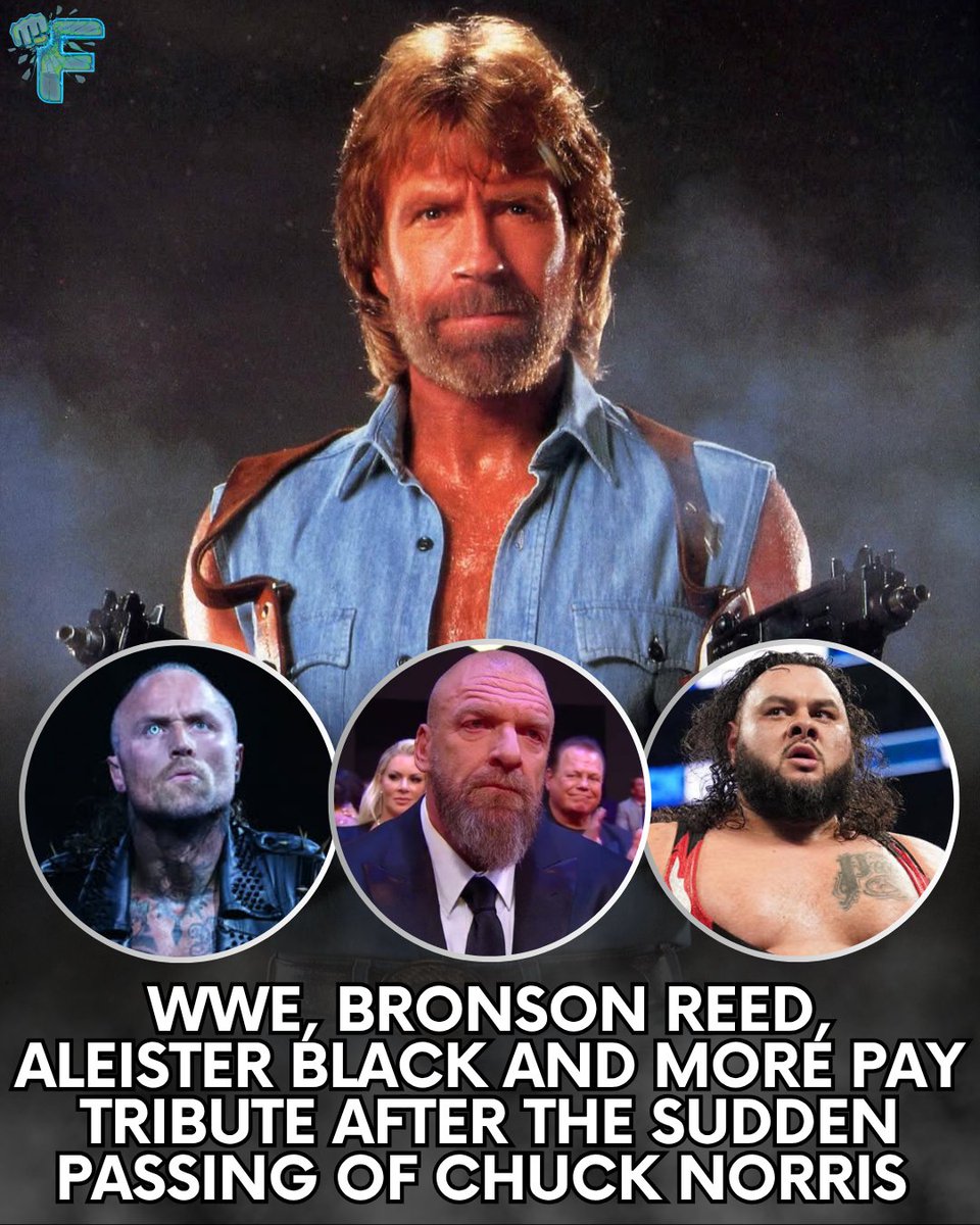 Finna Fight tweet media