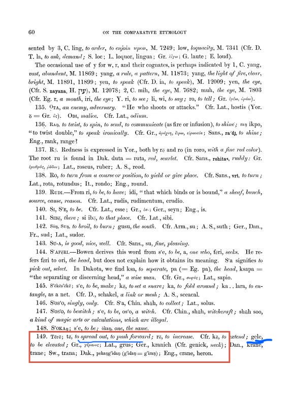 Nononsense tweet media