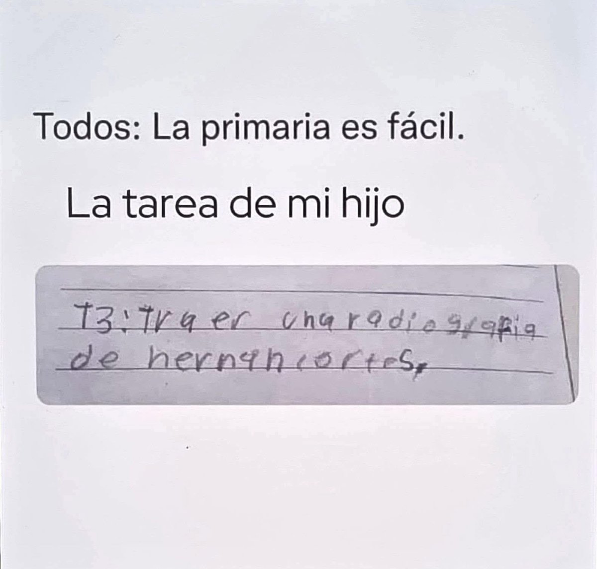 EFibel 🖤 tweet media