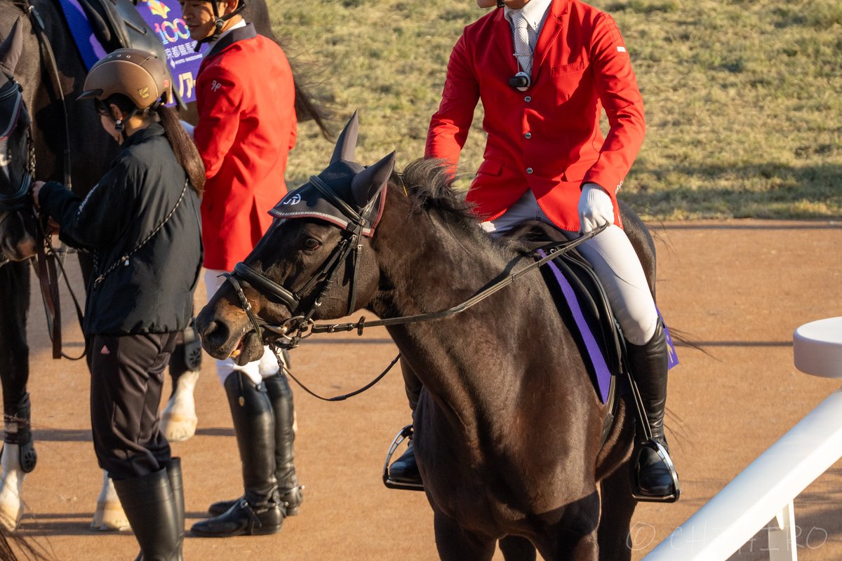 chihiro🐴 tweet media