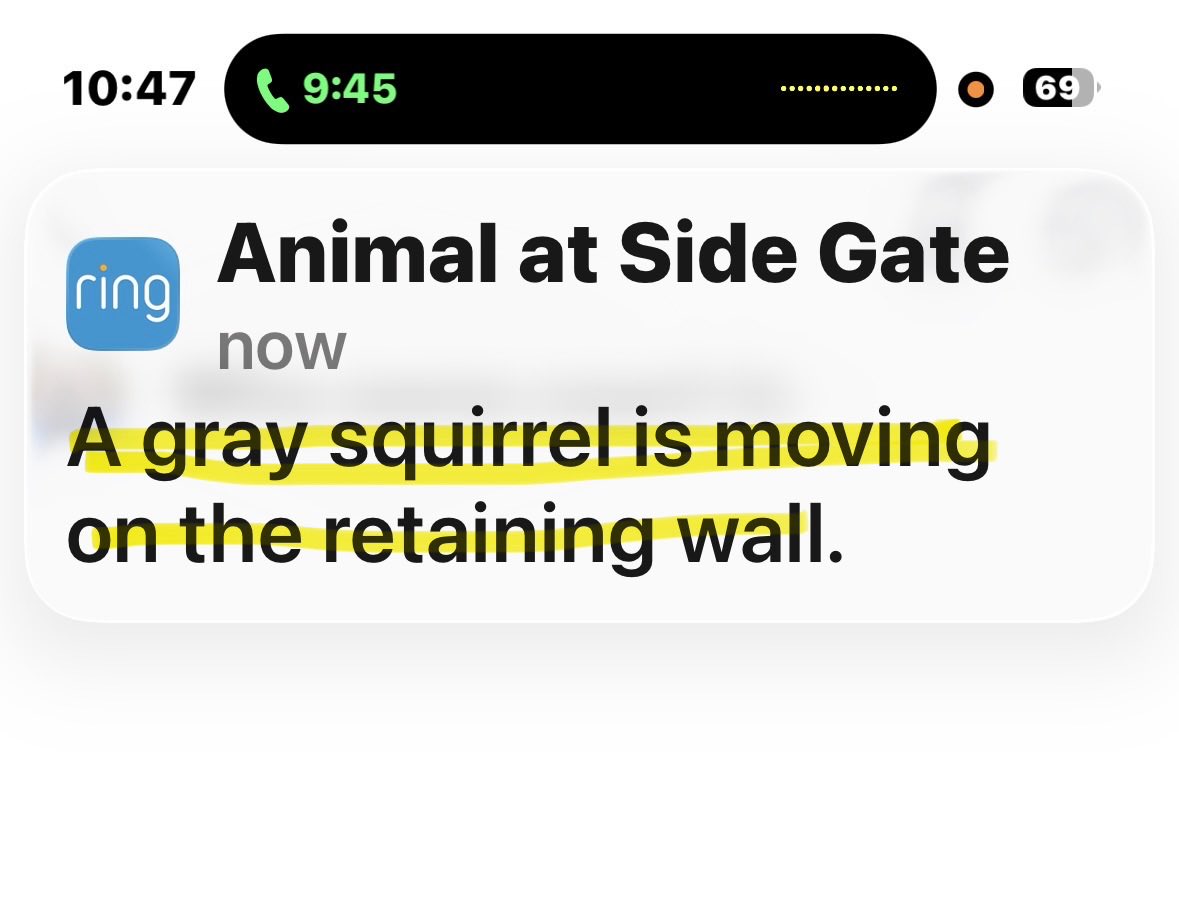 Greta Van Susteren tweet media