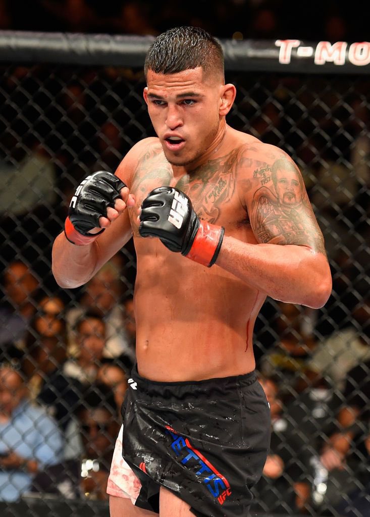 Home of Fight tweet media