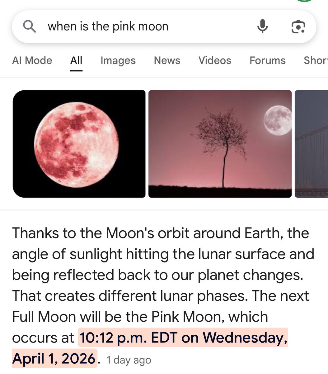 Olivia Rodrigo Daily tweet media