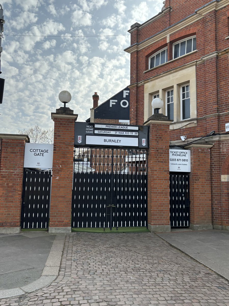 Ana Stafford tweet media