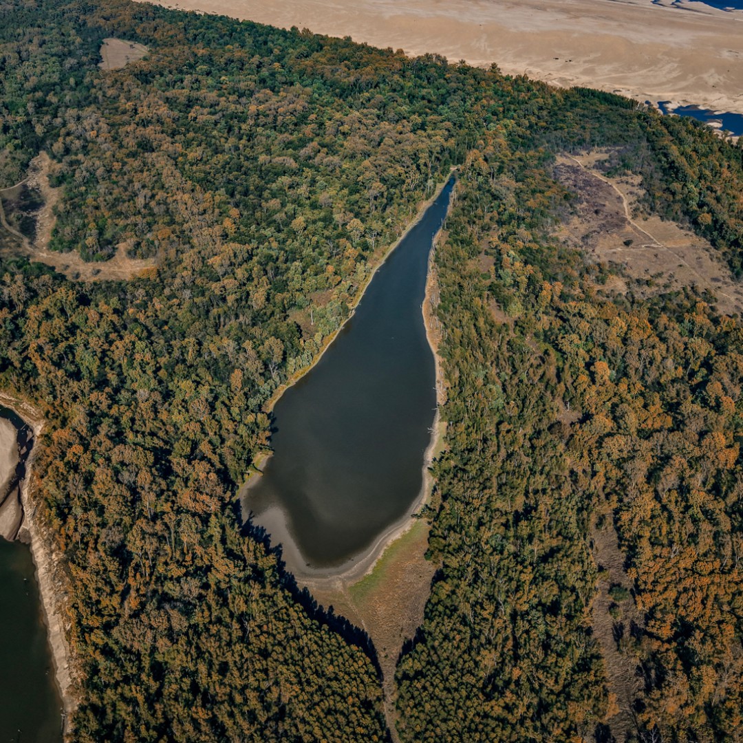 The Land Report tweet media