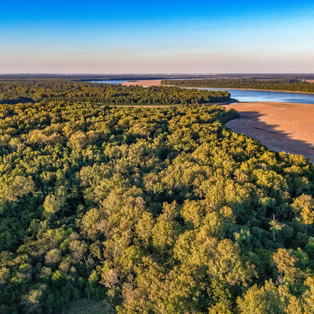 The Land Report tweet media