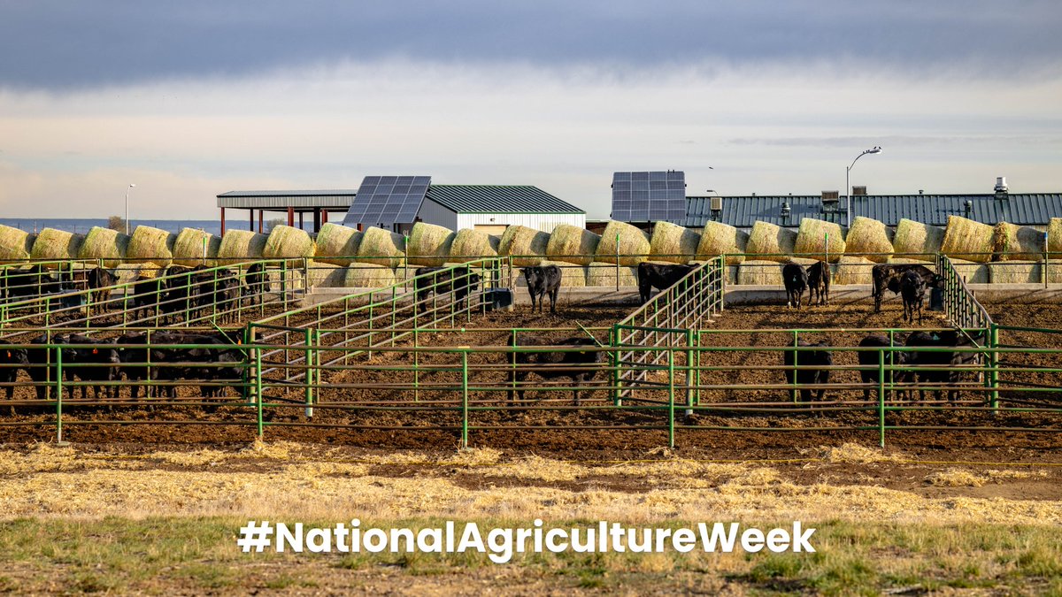 CSU AgNext tweet media