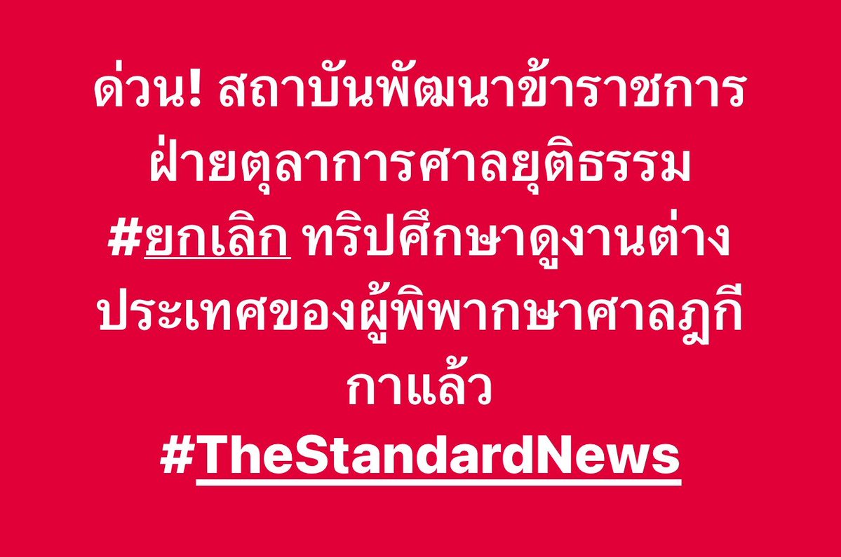 THE STANDARD tweet media