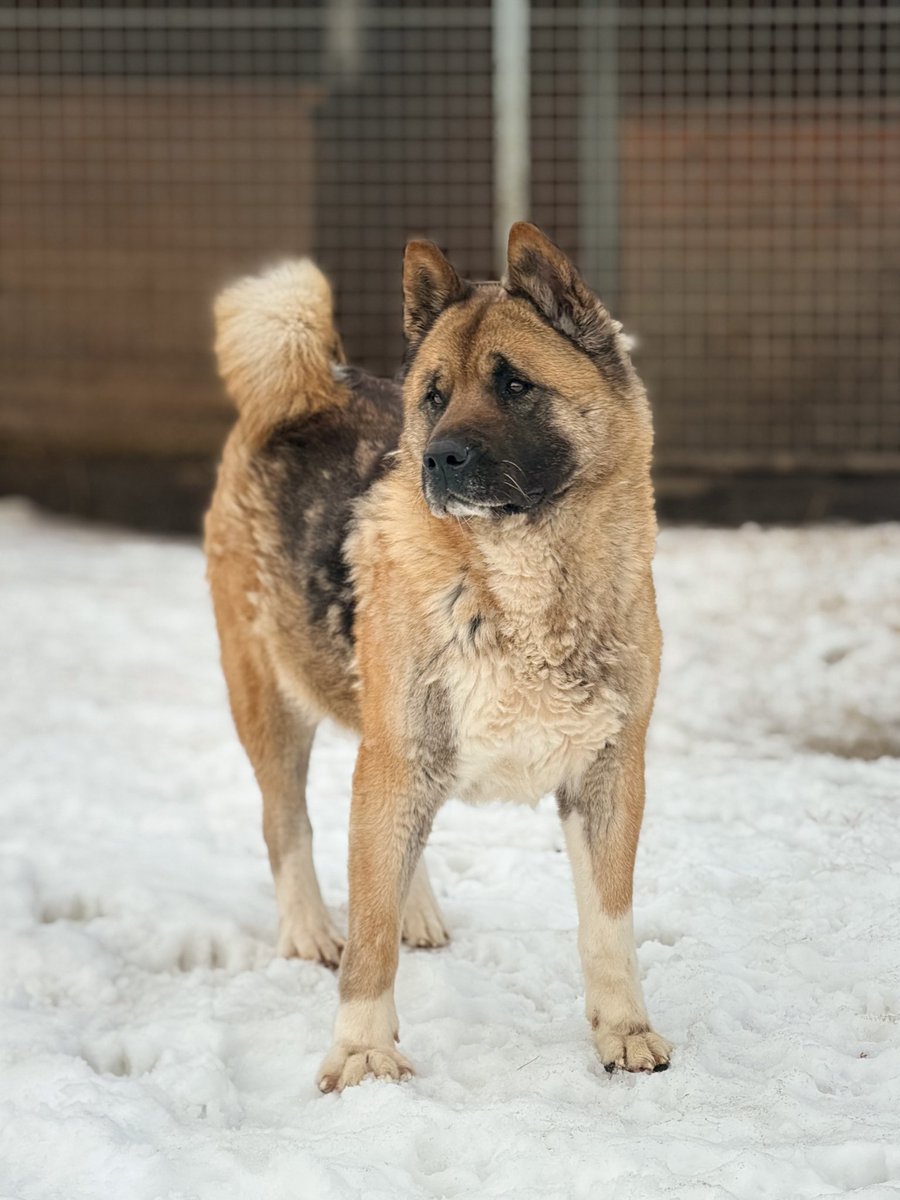 DzAB ''Ķepu-ķepā'' tweet media