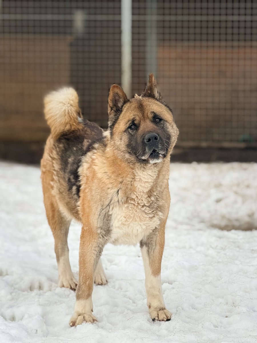 DzAB ''Ķepu-ķepā'' tweet media