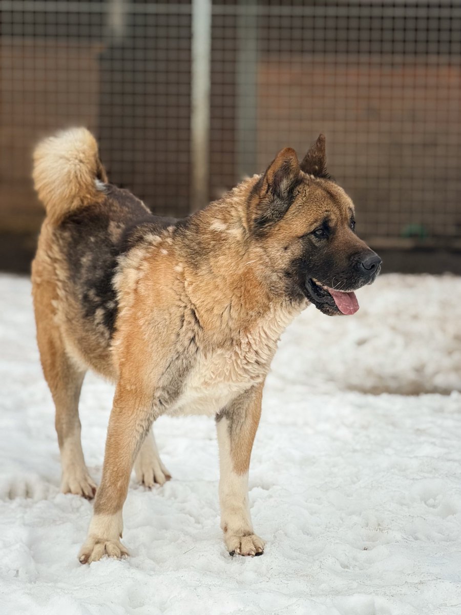 DzAB ''Ķepu-ķepā'' tweet media