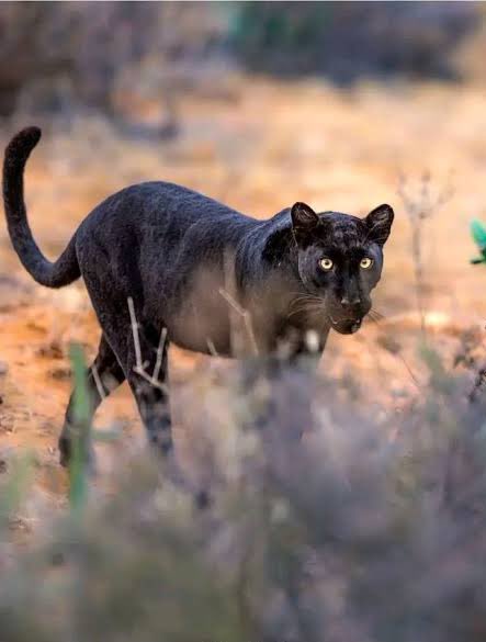 Let’s Discover Travel tweet media