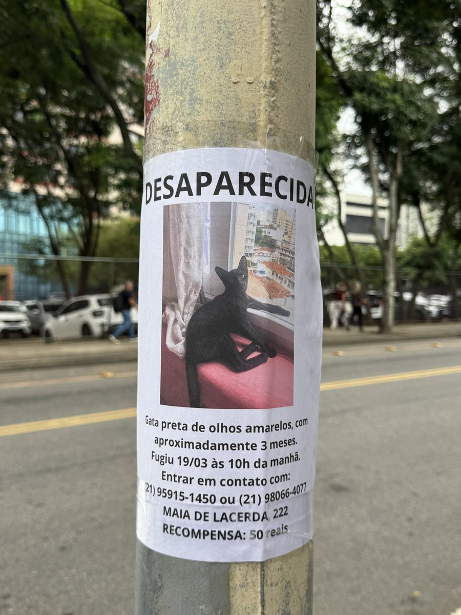 deborah pataxó 🐋 tweet media