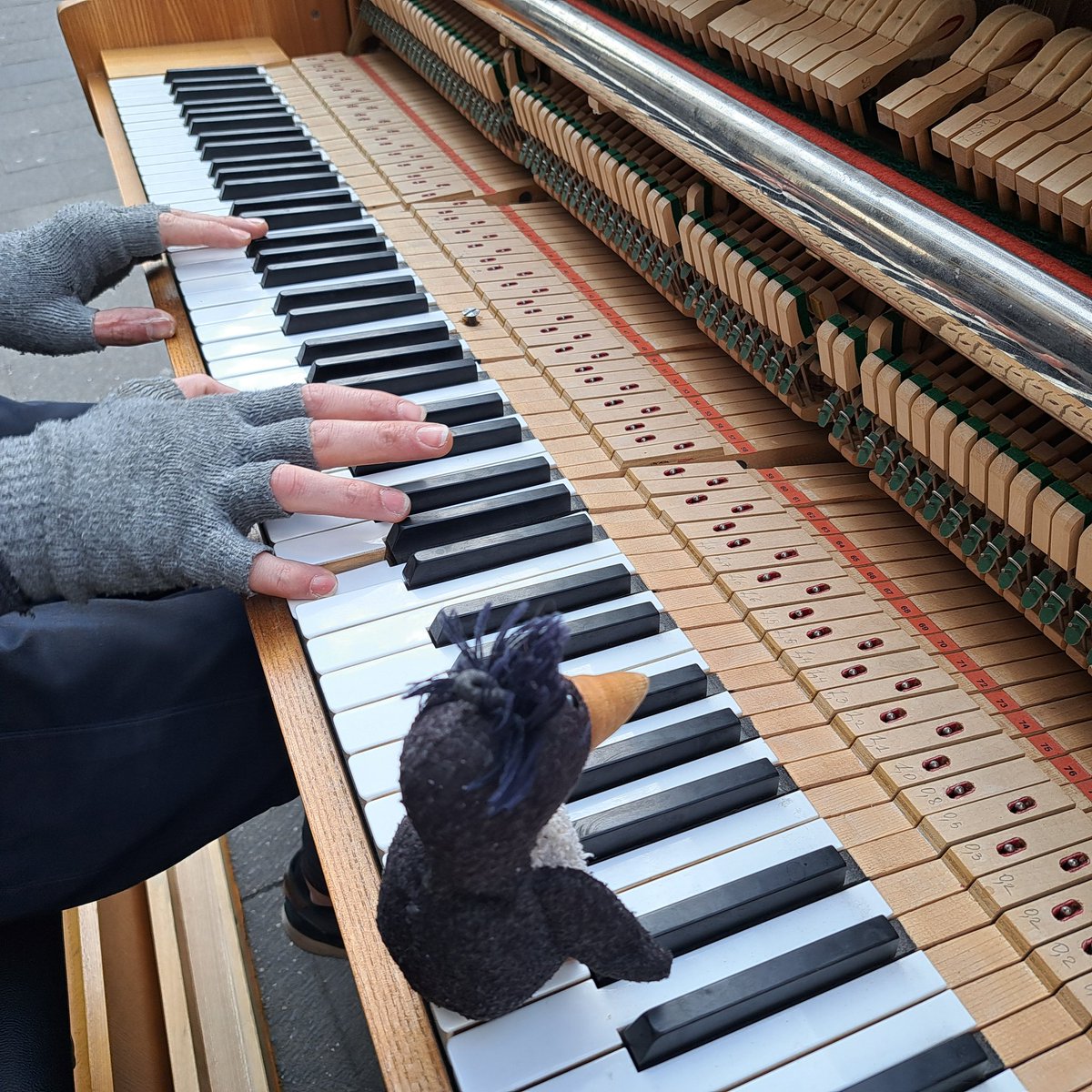 Ottokar 🐧 tweet media