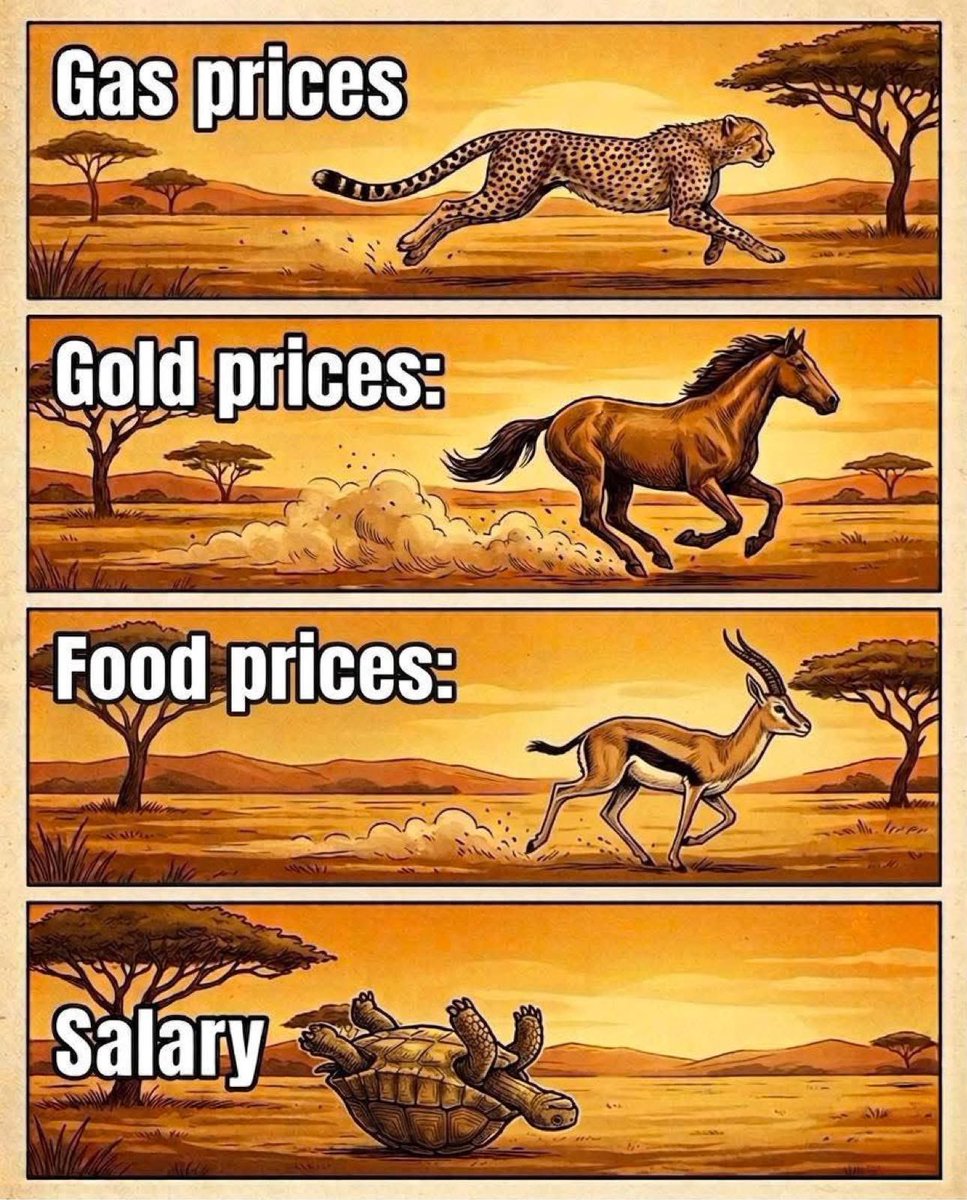 Shalebean tweet media