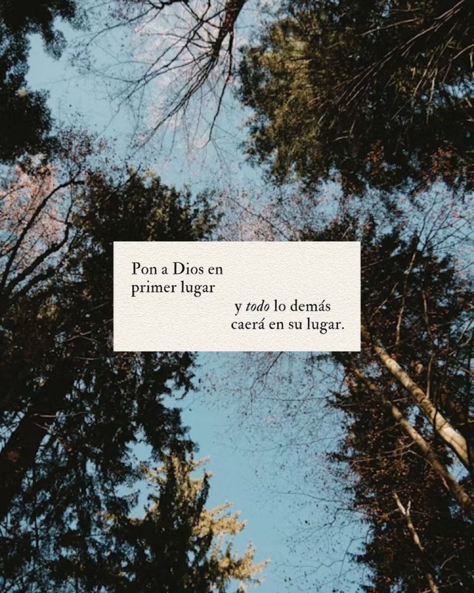 🌙 mini textos tweet media