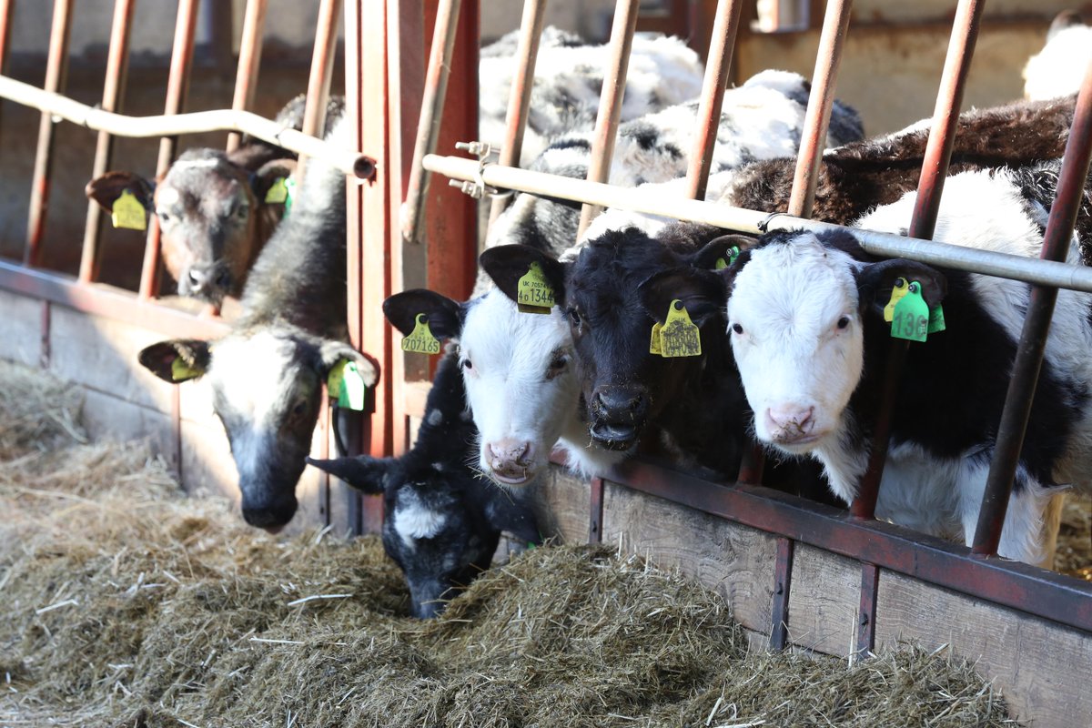 Welsh Government Rural Affairs tweet media