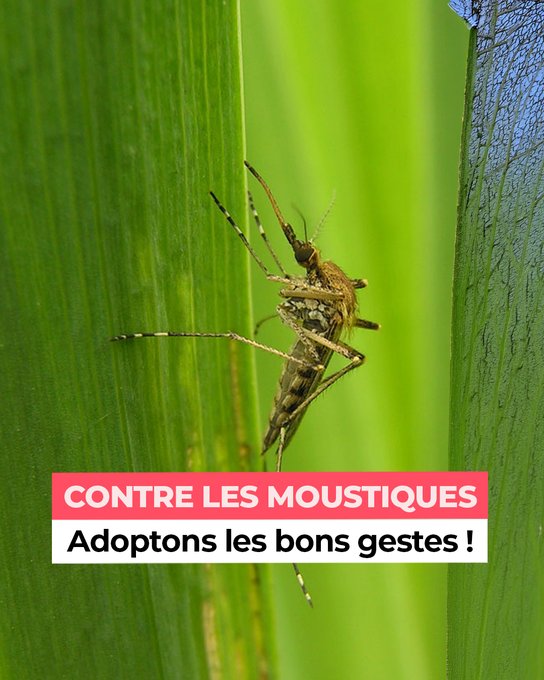 Image de l'actu de Département de la Charente-Maritime