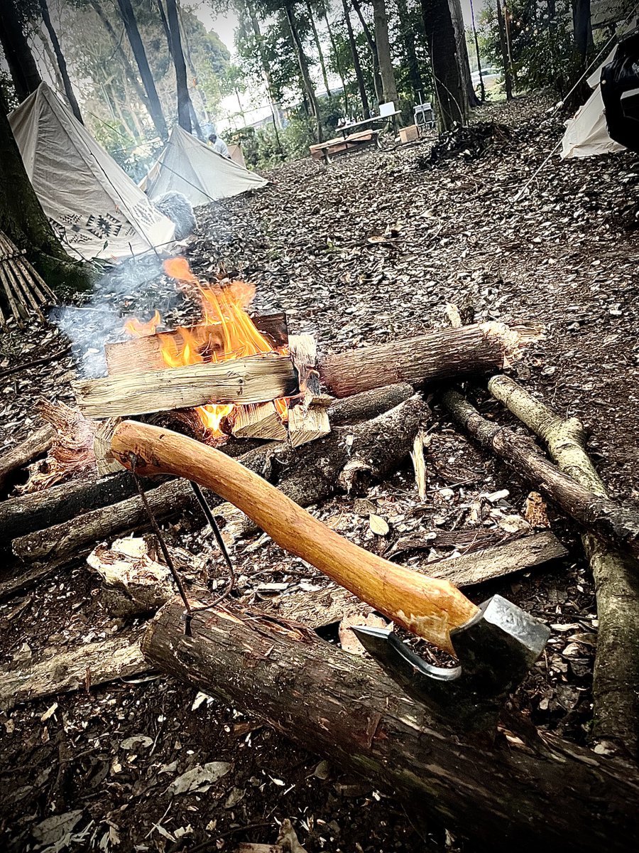 雛咲望月🌙🍥🎀片麻痺LARPer &ファンタジーキャンパー📯M.Hinasaki tweet media