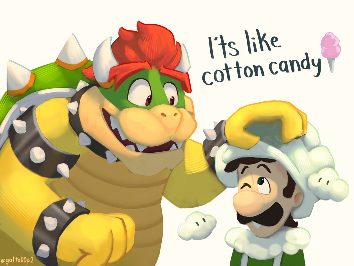 Gatto🐬 tweet media