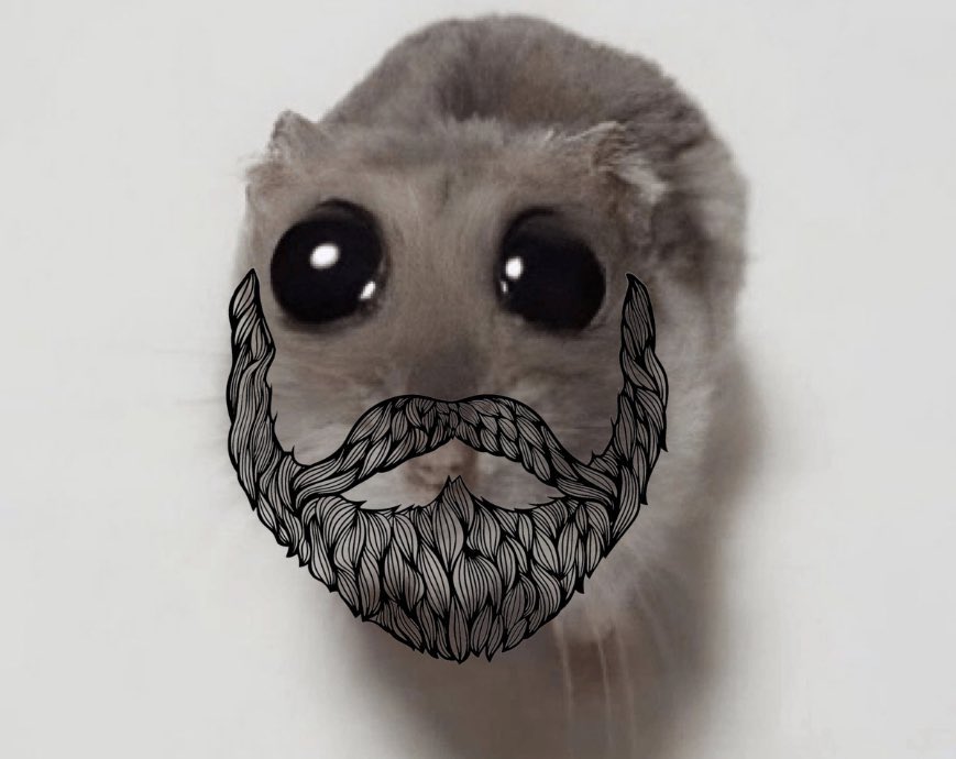 the pitt med student⚕️ tweet media