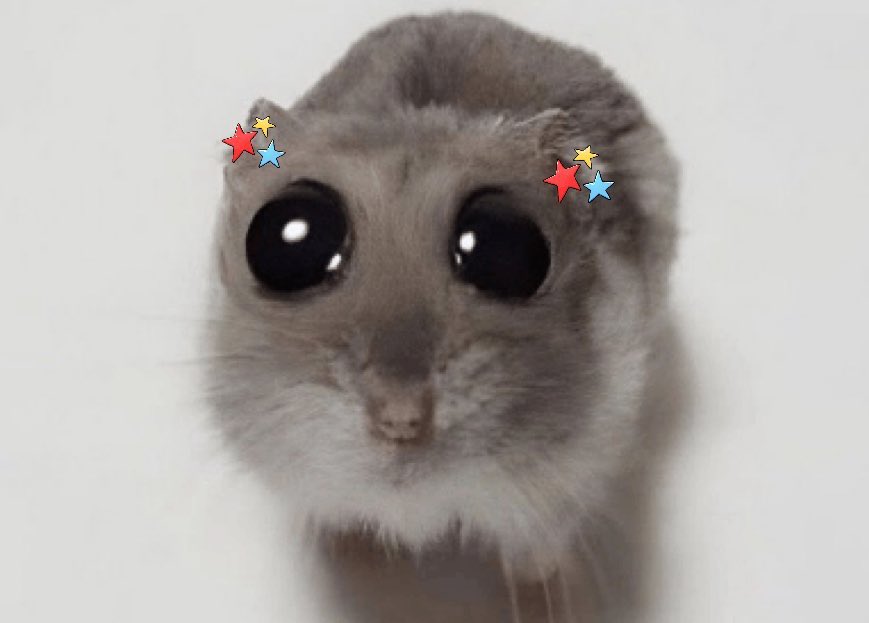 the pitt med student⚕️ tweet media