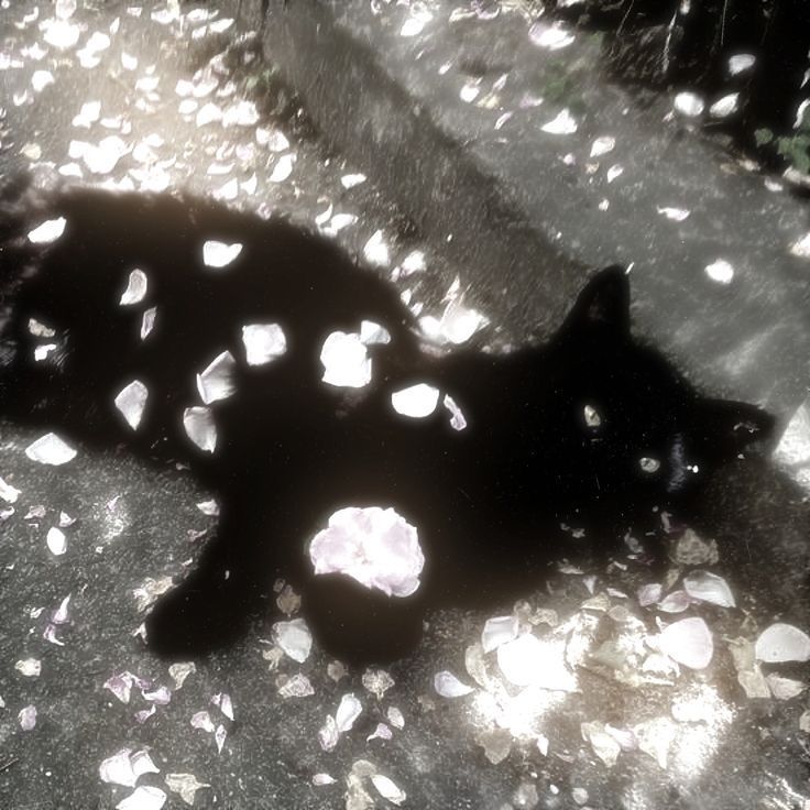 Yney au's 𐙚 tweet media