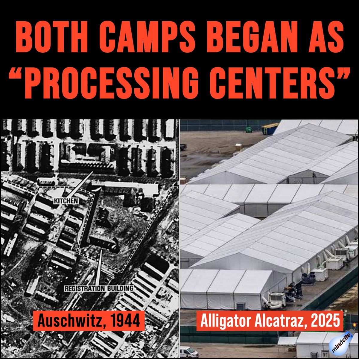 Mindcite💥 tweet media