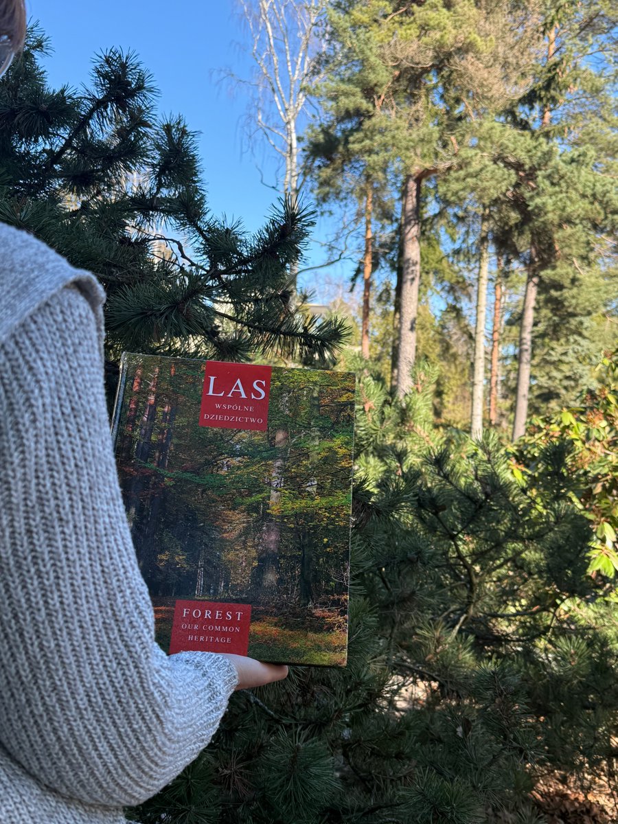 PLinFinland tweet media