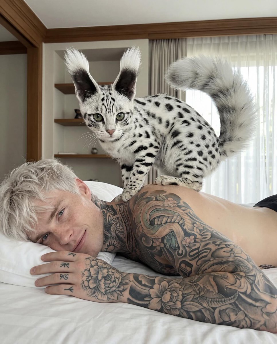 Harry Simkins tweet media