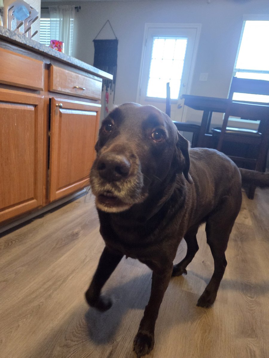 Sean 𐂂 tweet media