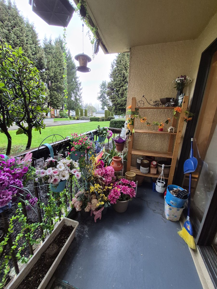 stuffie!🎈🐕 🔜 FWA tweet media