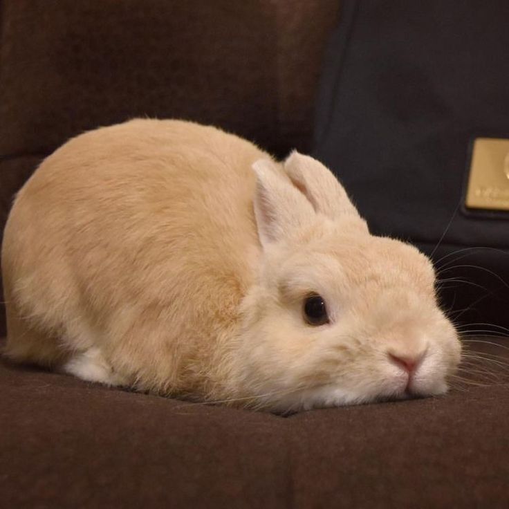 selfolssi ♤ tweet media