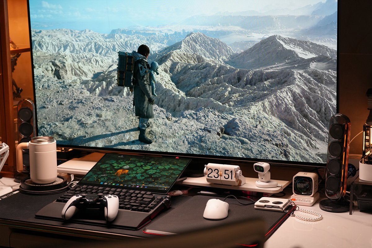 Sakura Rabbit 樱花兔 tweet media